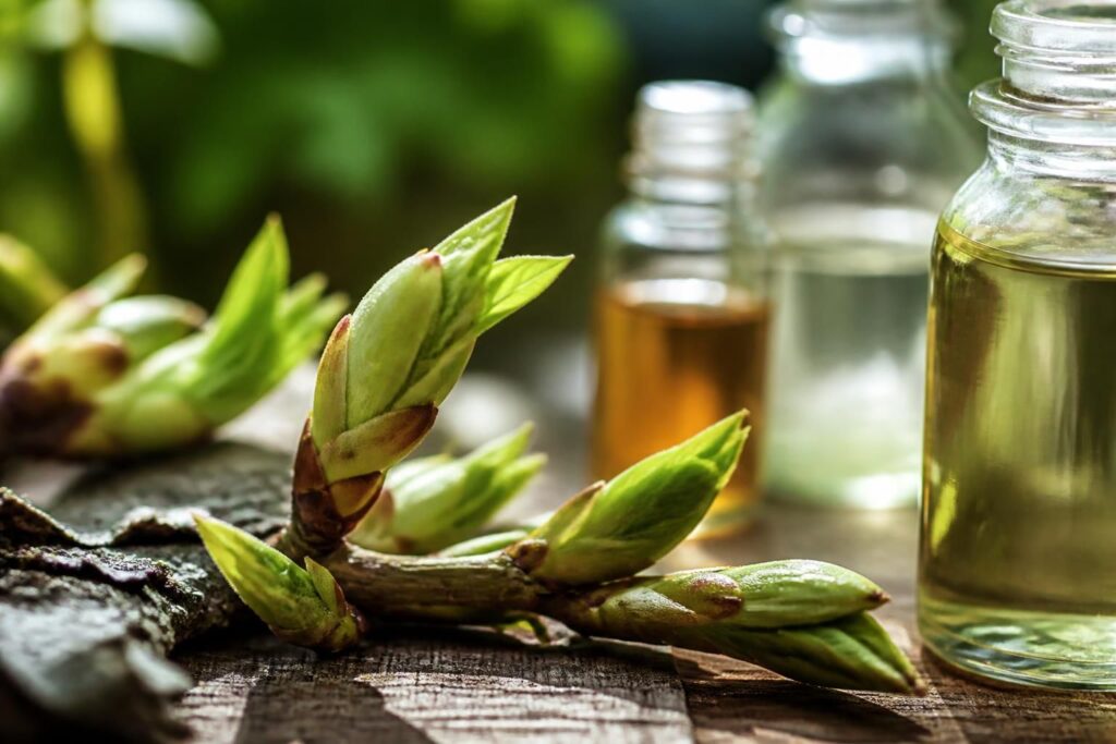 découvrez la gemmothérapie, une approche naturelle utilisant les propriétés des bourgeons pour favoriser le bien-être et la santé au quotidien.